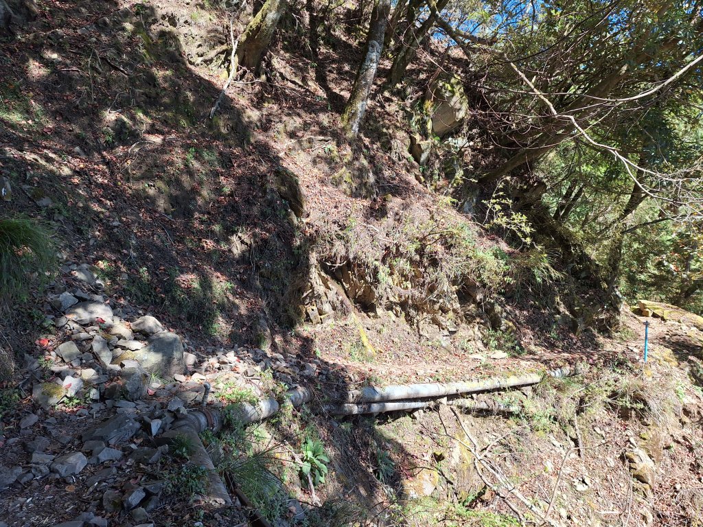 石山引水道20251211_2959540