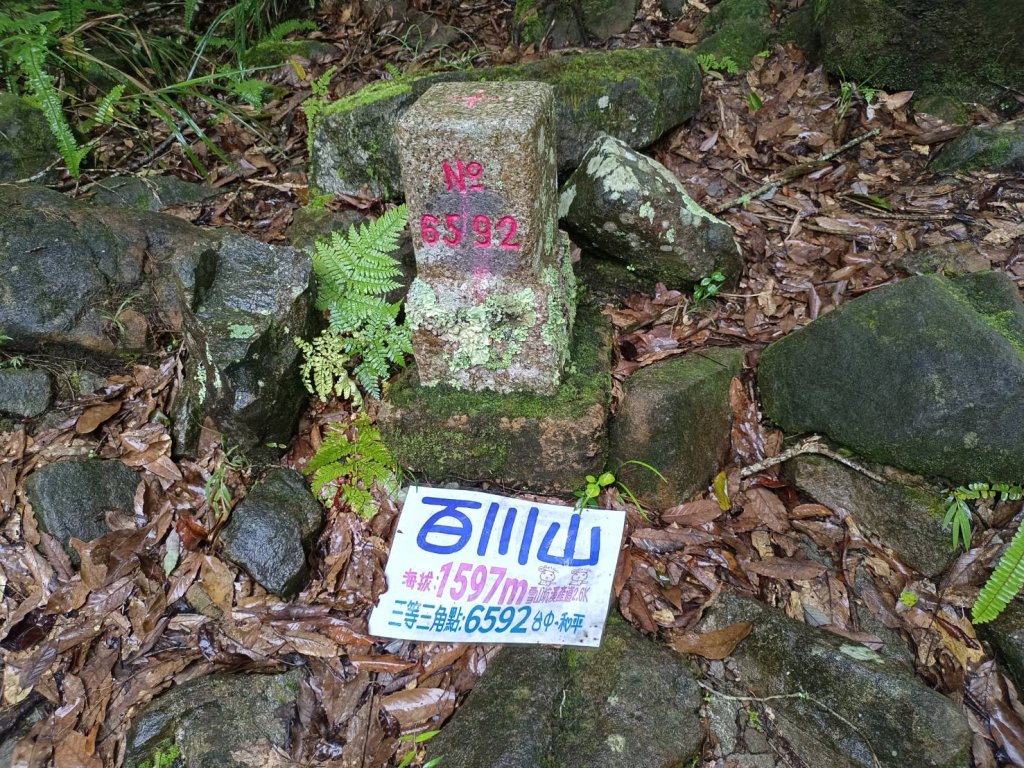 20220828台中和平百川山、百川山東峰_1823801