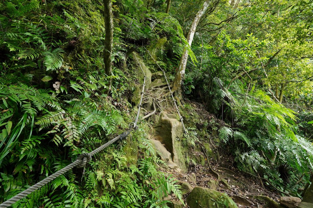 臺北 文山 指南山、猴山岳、魚衡山、大前坑山、猴山坑山、祥光寺後山、金頭山_2774968