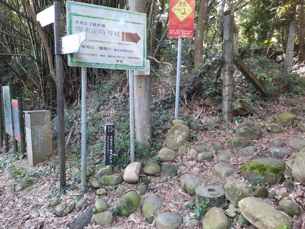 一日大坑_1030020