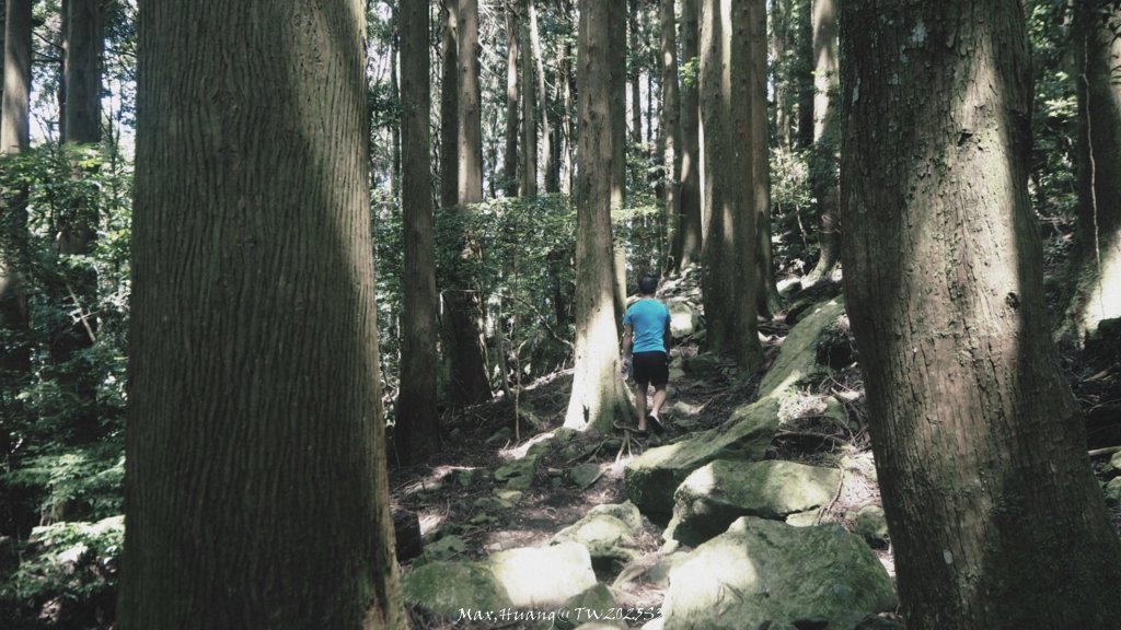 《苗栗》遺世鐵道｜悠遊加里山大坪支線至避難山屋20250822_2867595