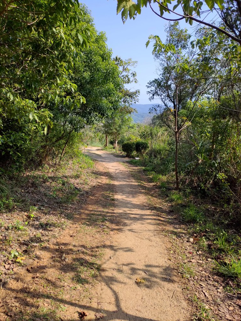 虎頭山大亂走_820217