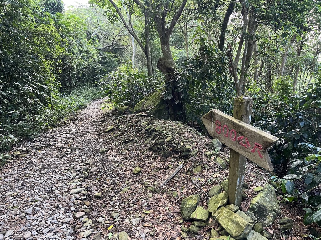 [屏步青雲 尋寶任務-01/10] 2024_0914 德文山步道(觀望山)_2596931