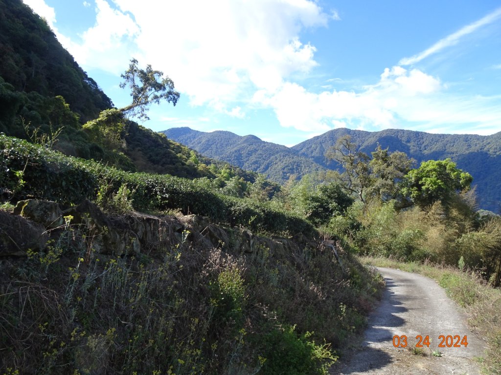 伊利雅娜產道（一般車停車處步行單程約5K產道）至登山口轉接山徑登北霞山往返封面圖