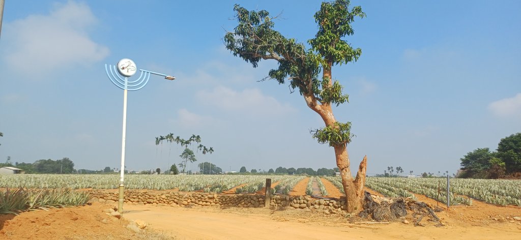 松柏坑山.南投名間_2942290