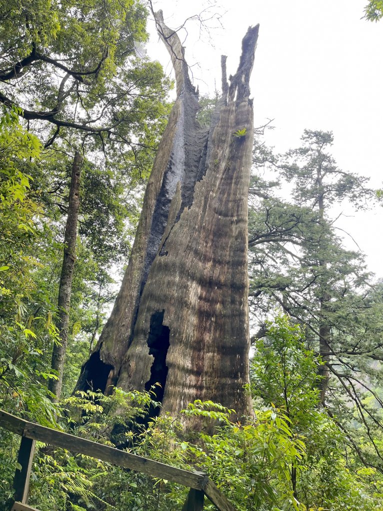 年輕人爬山趣～北得拉曼 5/13 2023_2170503