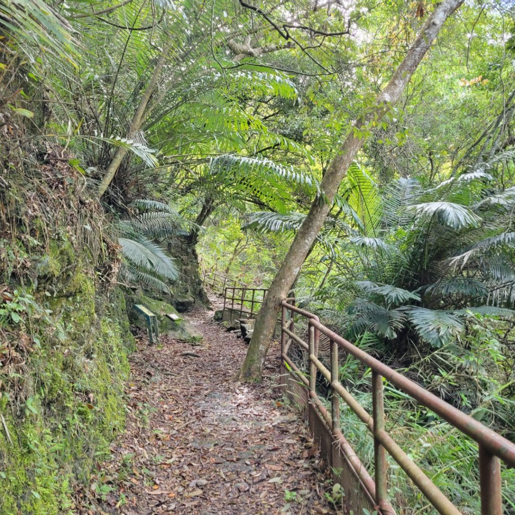 綠水步道_1662560