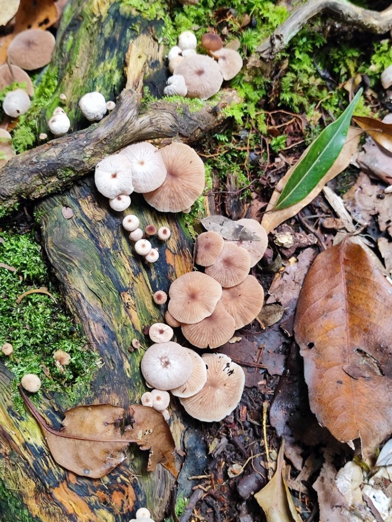 樂雪縱走_2876775