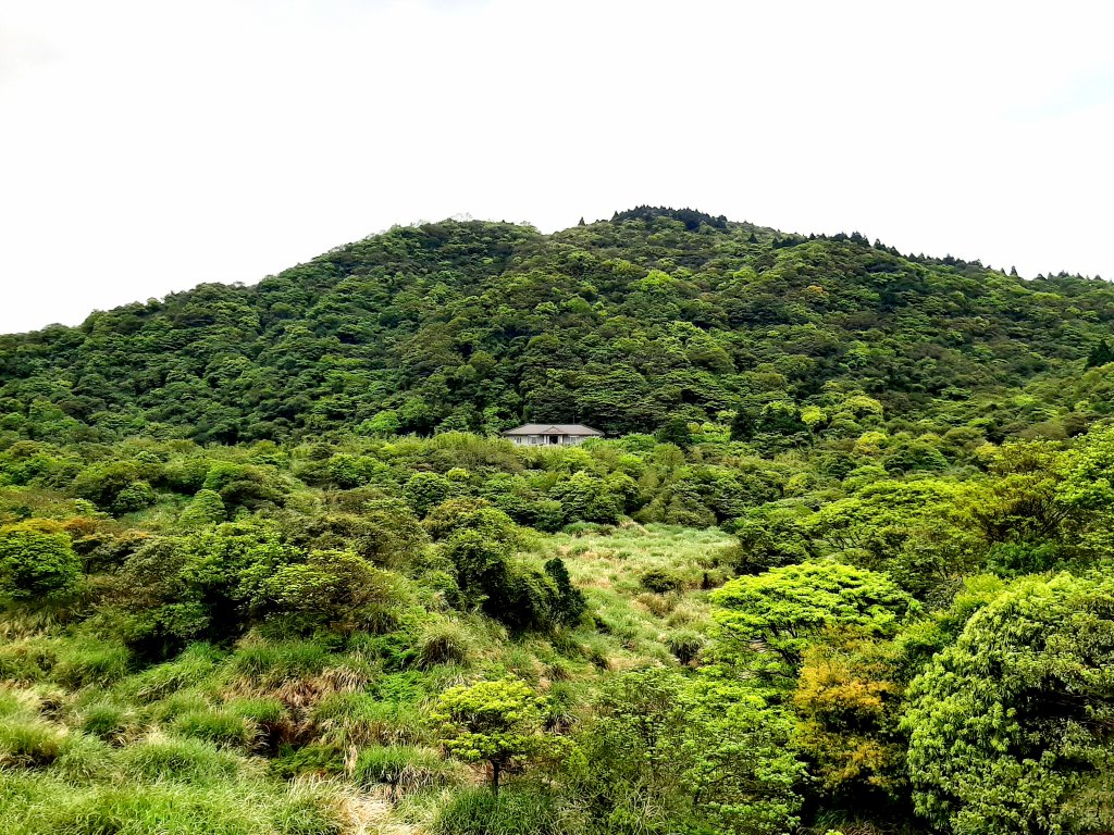 走遍陽明山：擎天崗系｜景遠心自闊，潺潺溪水聲洗去一身憂_2114005
