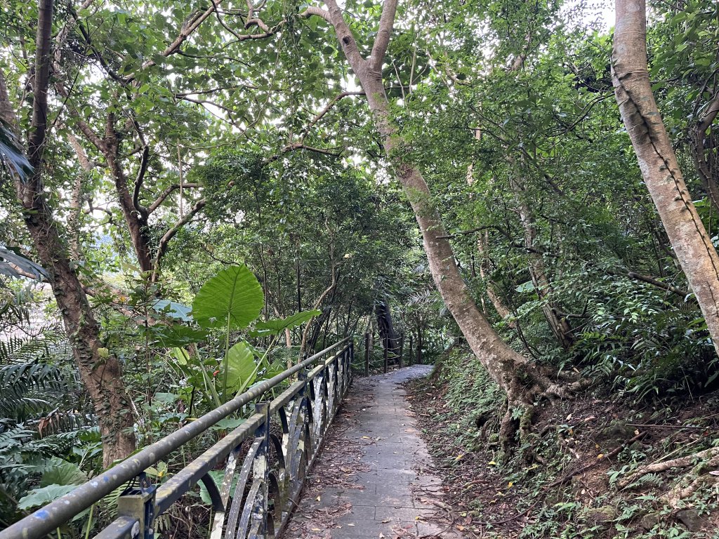 [百山百鳥尋旅-01/15] 2025_0807 和美山步道_2854594