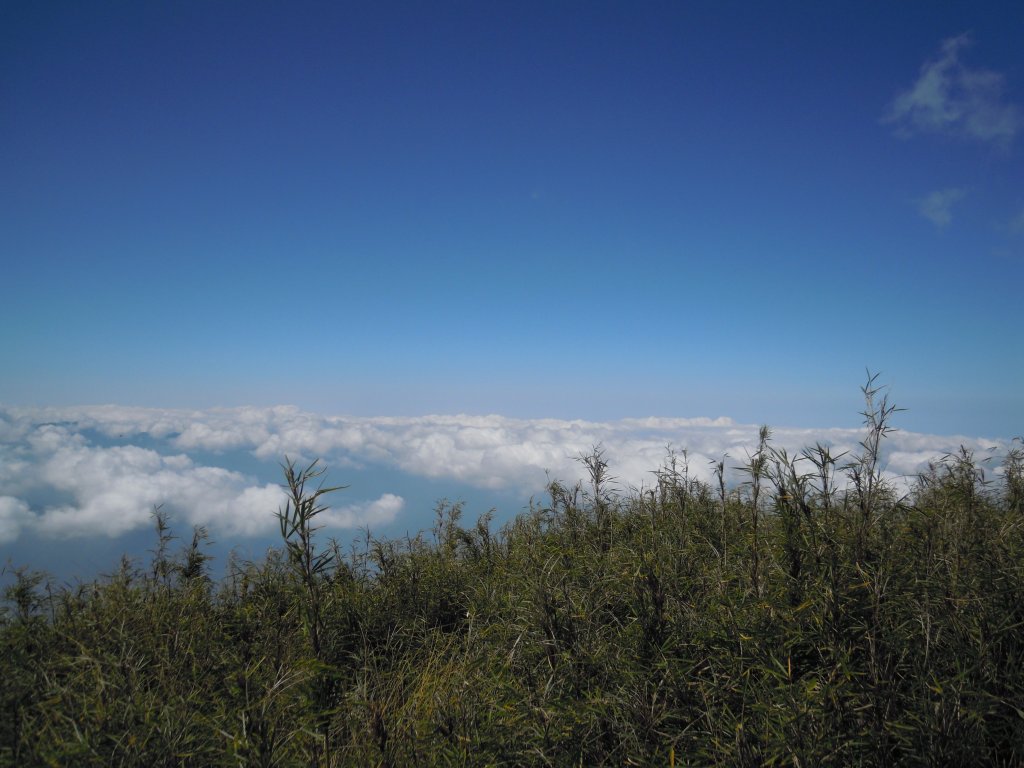 郡大山、望鄉山單攻20131019_1961540