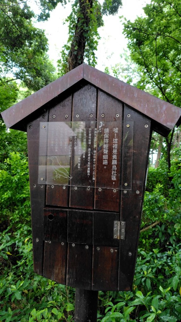 霄裡好風光運動樂悠遊-大湳森林公園_2823567