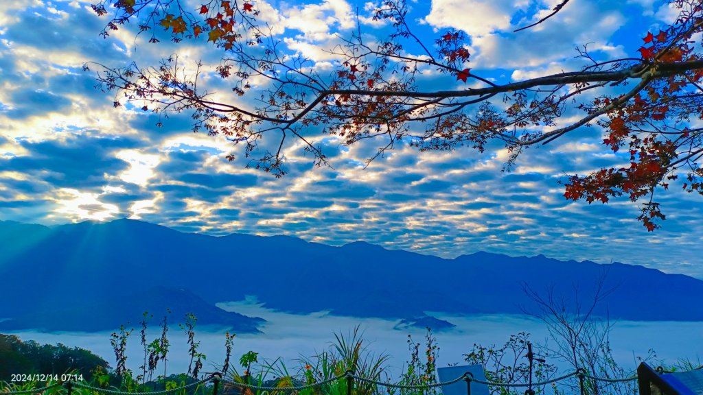 二訪馬拉邦山，解鎖 #琉璃光雲海 #日出雲海  #血月 #斜射光 #楓葉紅了！_2668623