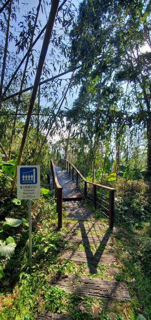 2025-01-30迷糊步道_2704450