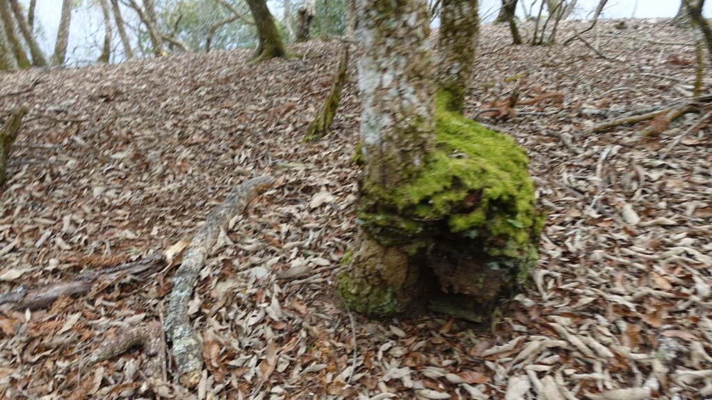 卡社山、拉夫郎西北峰_1616501