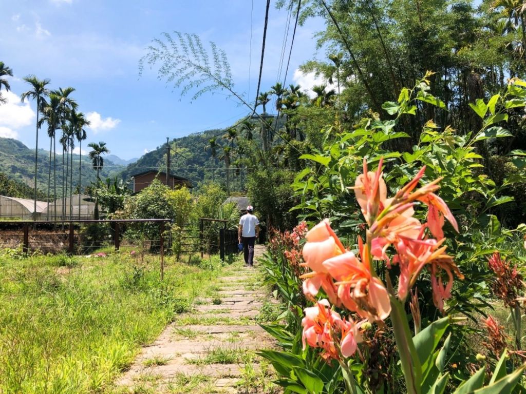 竹坑溪步道（龍宮瀑布、雷音瀑布）_339807