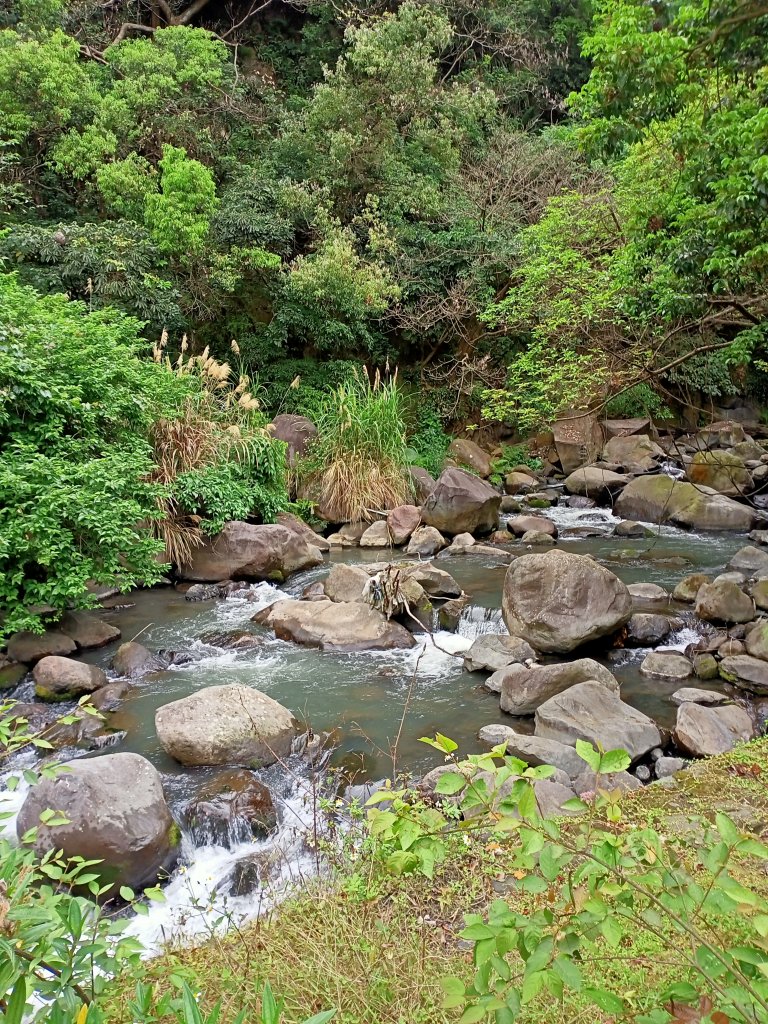 龍鳳呈祥的北投龍鳳谷步道_1320372