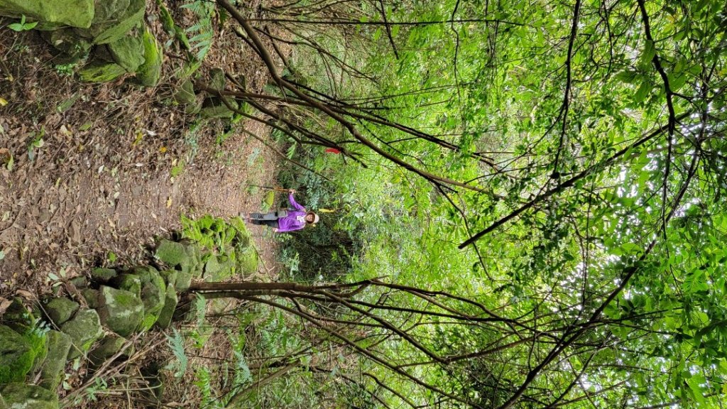 賞花+爬山健行-20240224_2436971