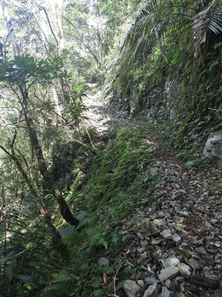 大同大禮步道(同禮古道)_282835