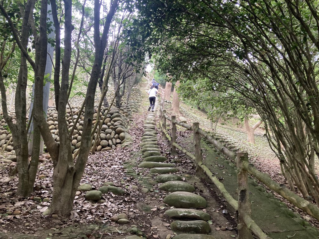 鐵砧山登山步道_2512637