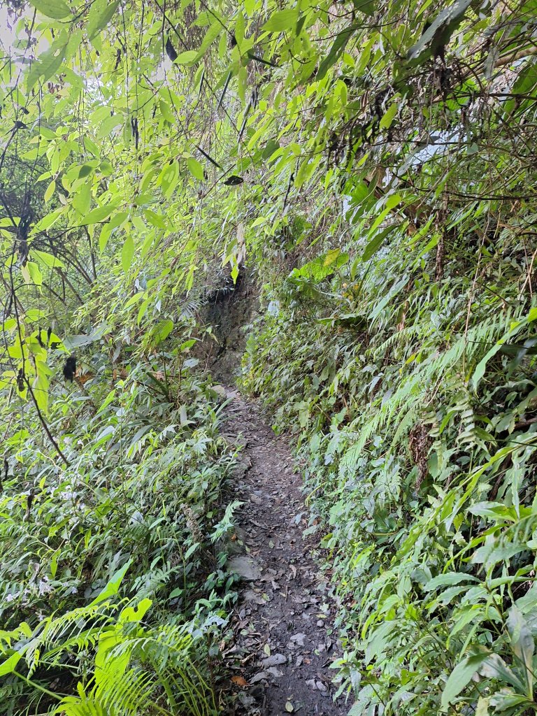 谷關蝴蝶谷瀑布20251120_2940805