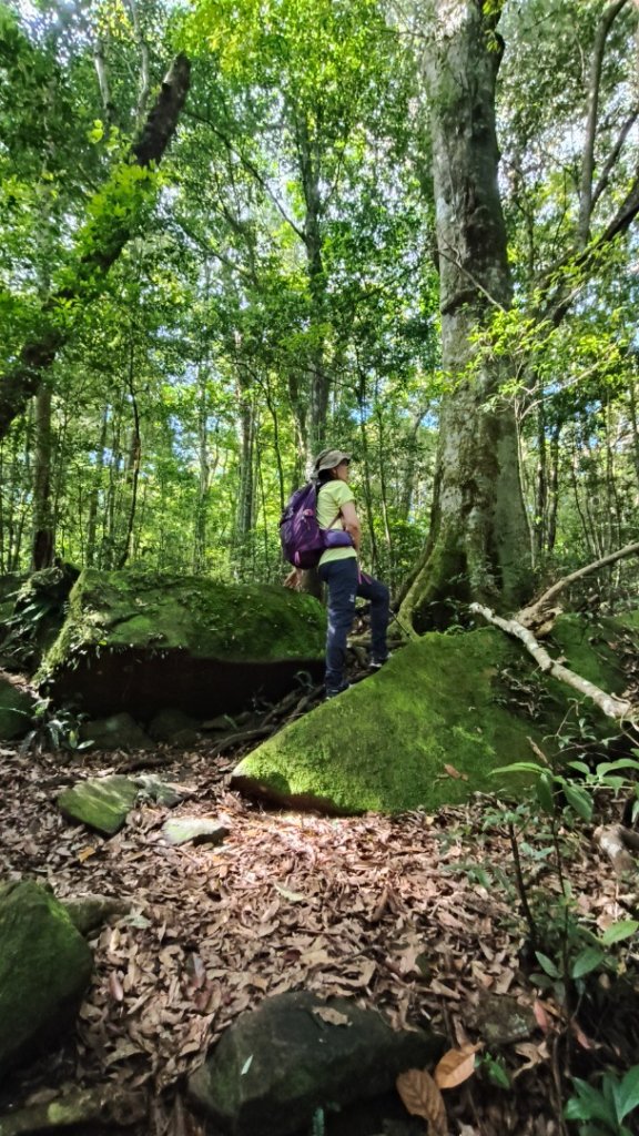 大混李棟山_2816333