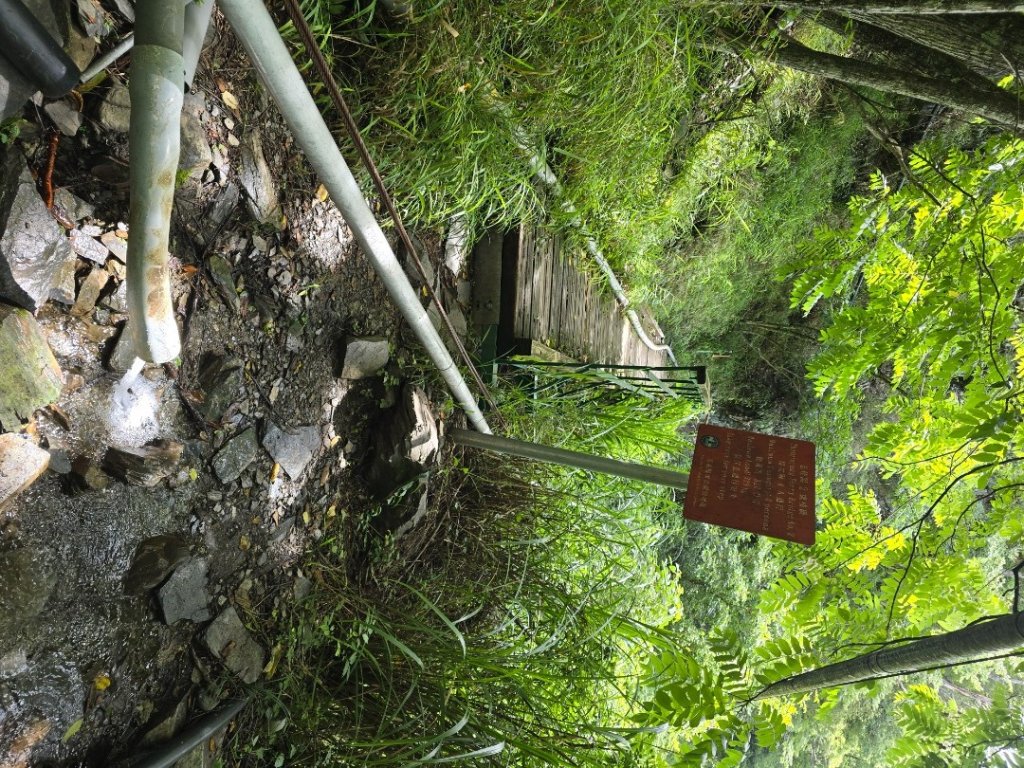 志佳陽大山（回程走高繞環山獵人登山步道）_2542127