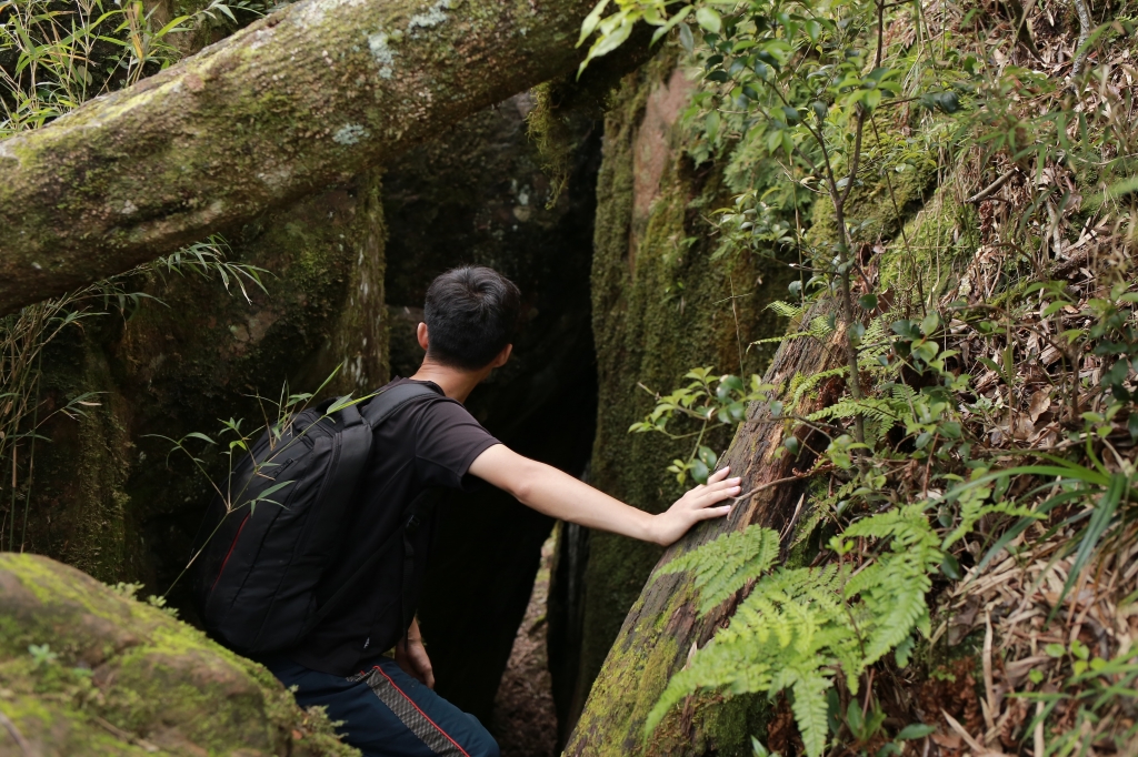 加里山：鹿場登山口_77832