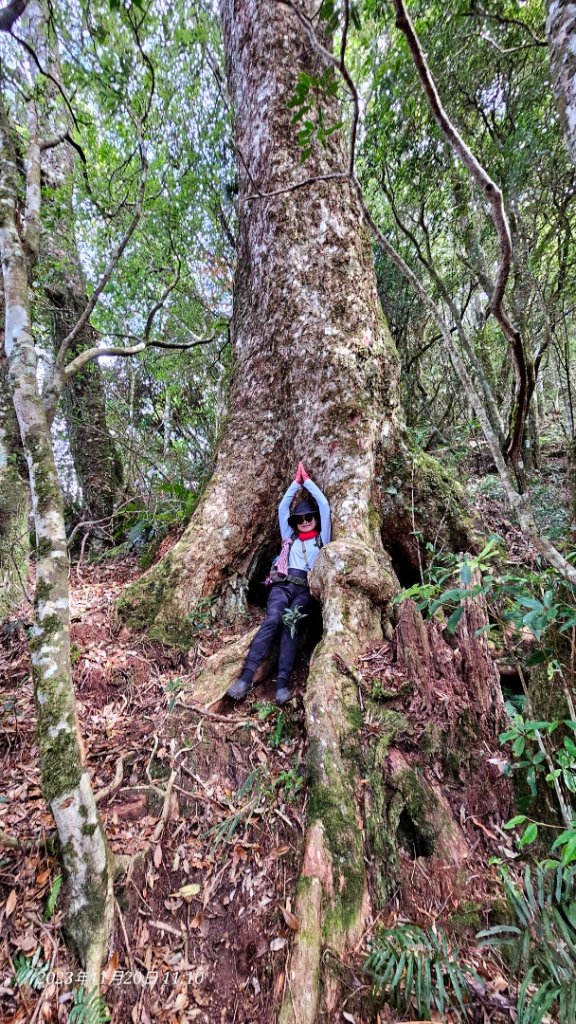 復興三尖之夫婦山_2356613