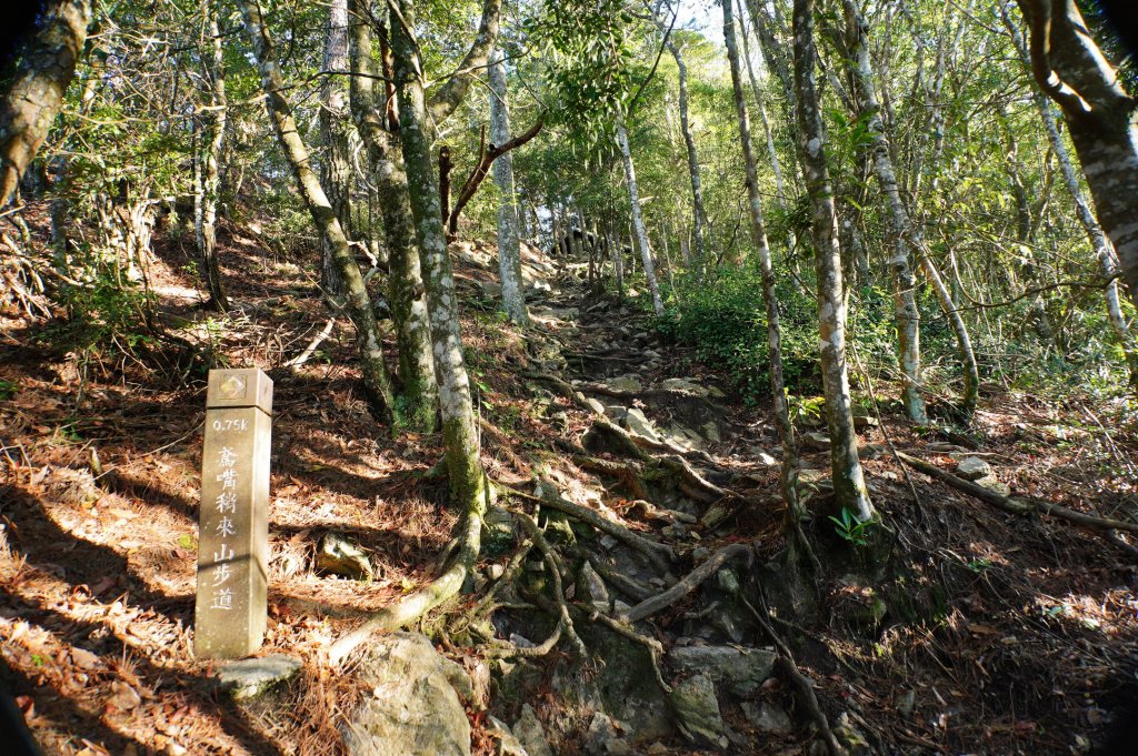 台中 和平 鳶嘴山_2926849
