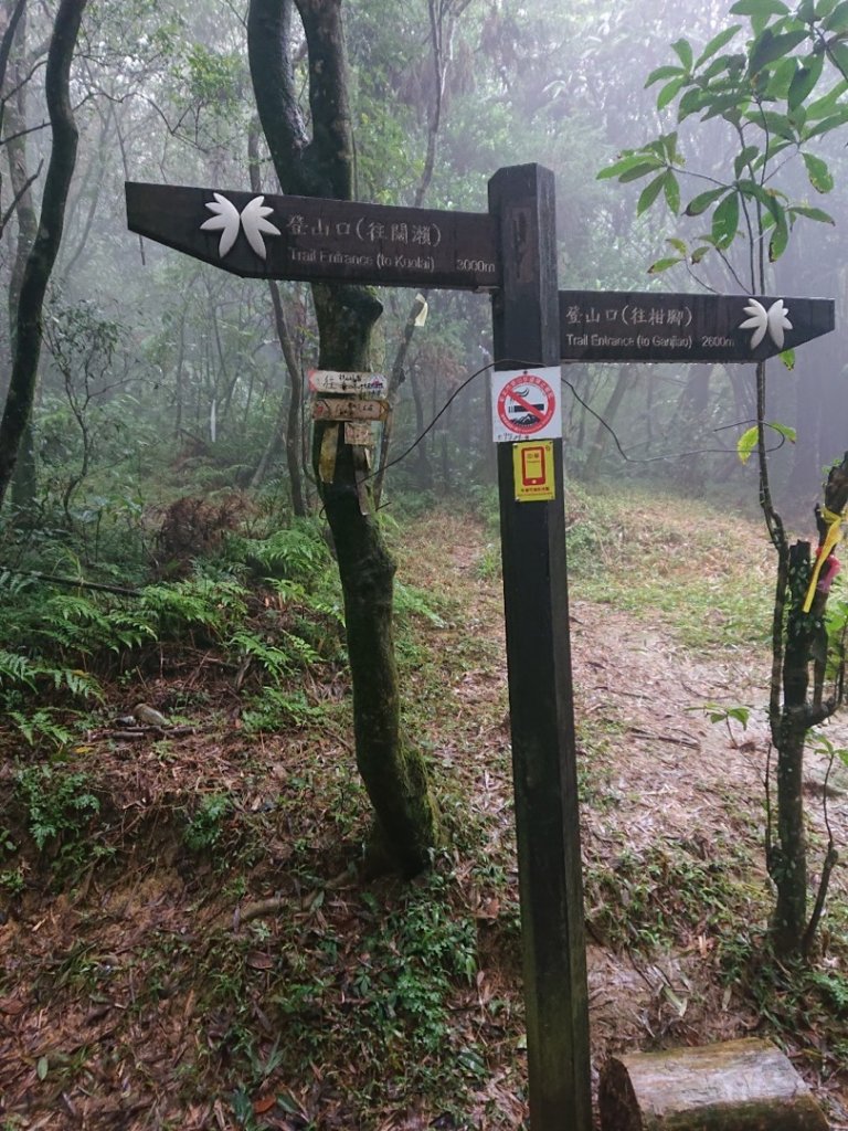 枋山坑古道封面圖