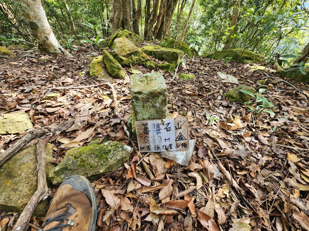 20240203番婆石山與橫屏山東峰封面圖