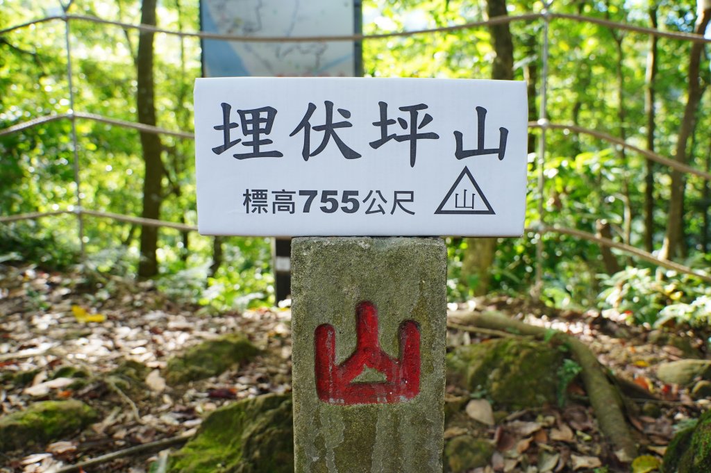 台中 和平 埋伏坪山封面圖