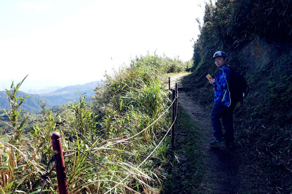 七星連走 O型 2018.03.11_291506