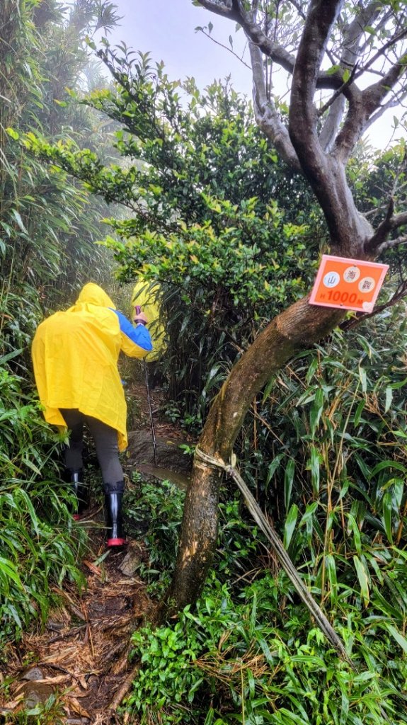 快閃雨中的小觀音山_1870009