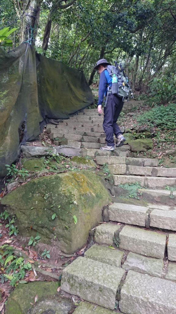 2018陽0513明山東西大縱走(逆)半_333289