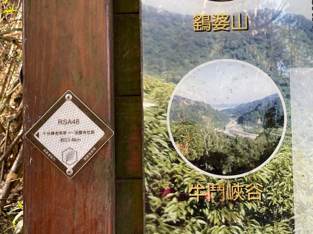 1141207金童山_2957714