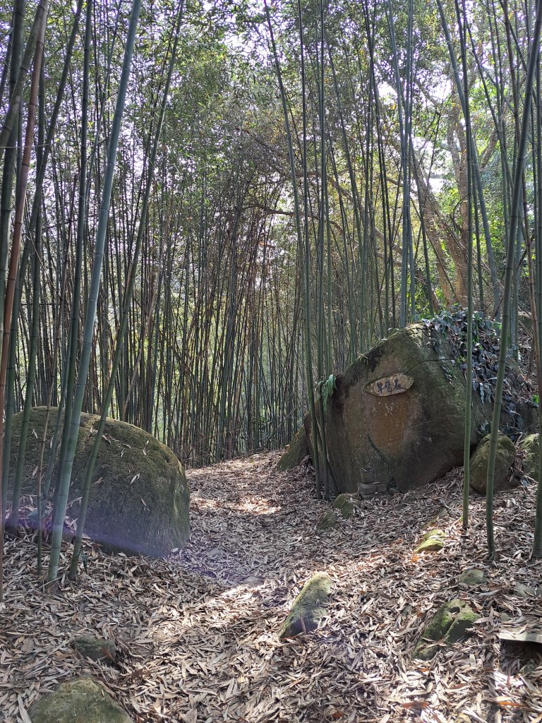 竹山八通關古道社寮段+陳東坑山+溪洲大山ｄ型走20230219_2037420