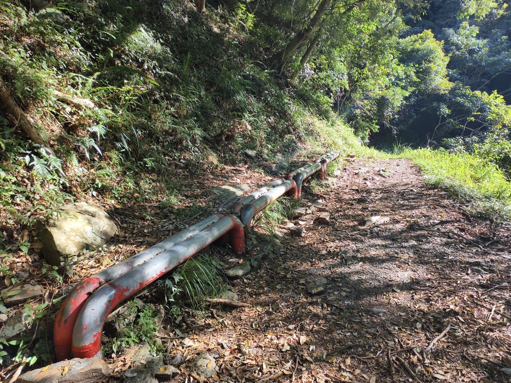 [玉山尋寶任務-07/12] 2025_0824 八通關雲龍瀑布步道_2870635