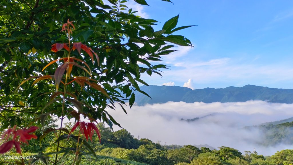坪林趴趴走追雲趣 - 日出火燒雲雲海&觀音圈6/26 & 30_2535266