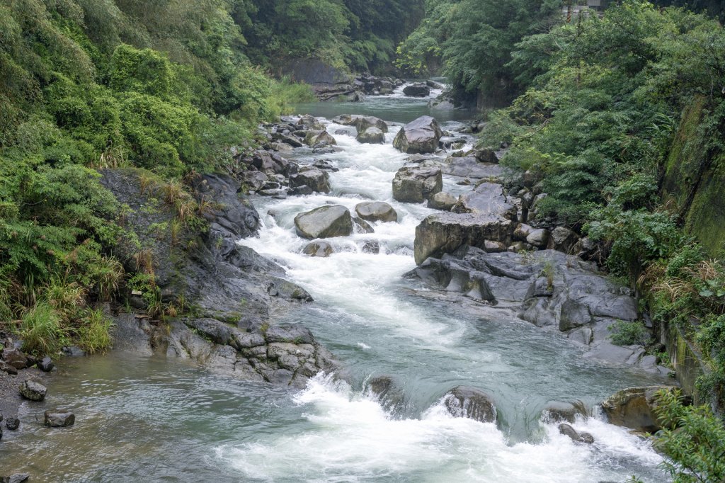 東眼山雨中尋幽_2975360