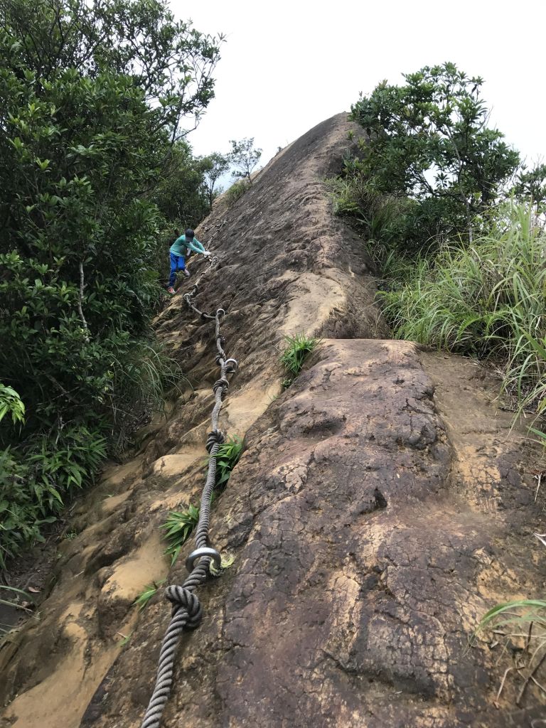 皇帝殿東峰_139119