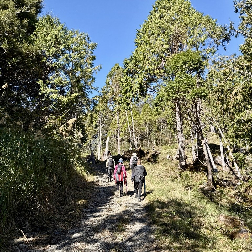 三星山(小百岳#85) 鳩之澤溫泉煮蛋趣_2952819