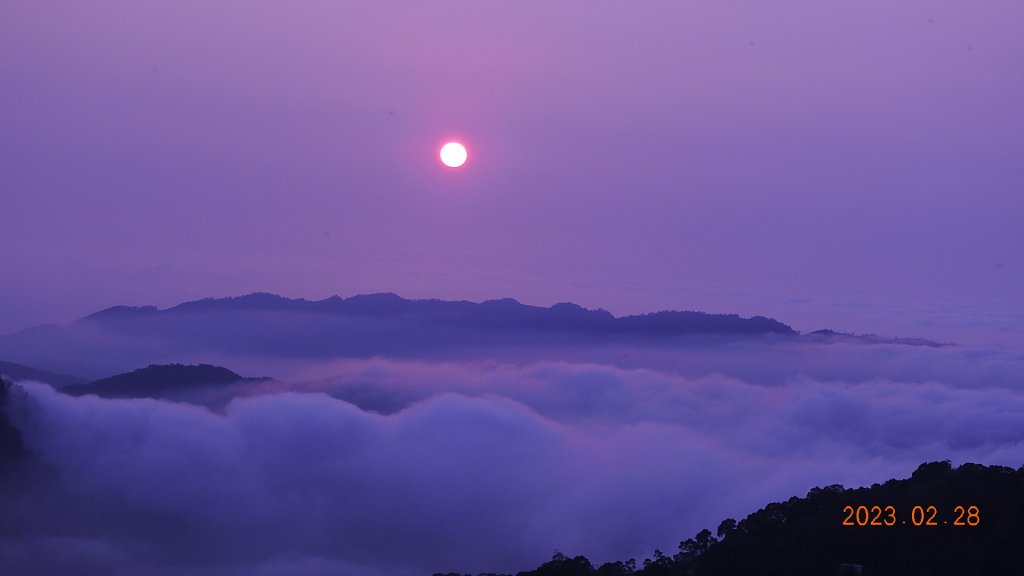 大湖薑麻園/雲洞山莊夕陽雲海2/28_2045662