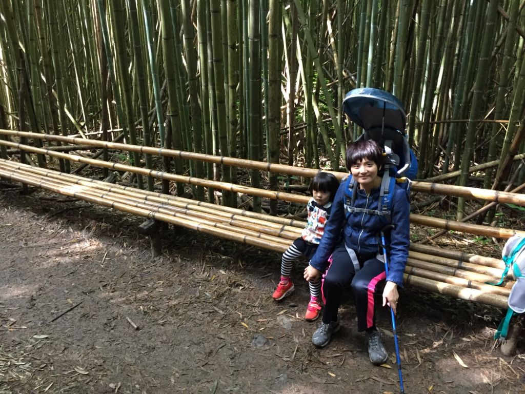 「司馬庫斯」一家四口森林樂活遊_380482