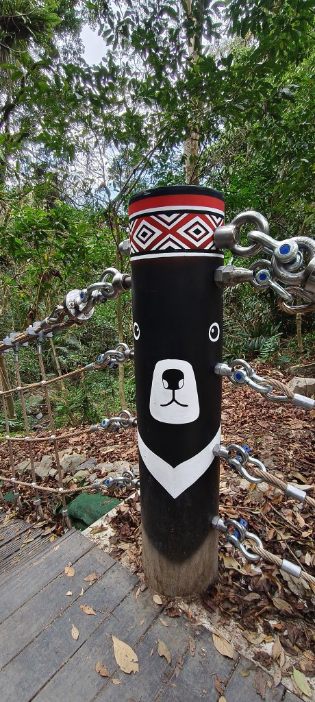 2026/01/01_雪山坑環線步道O型_2978091