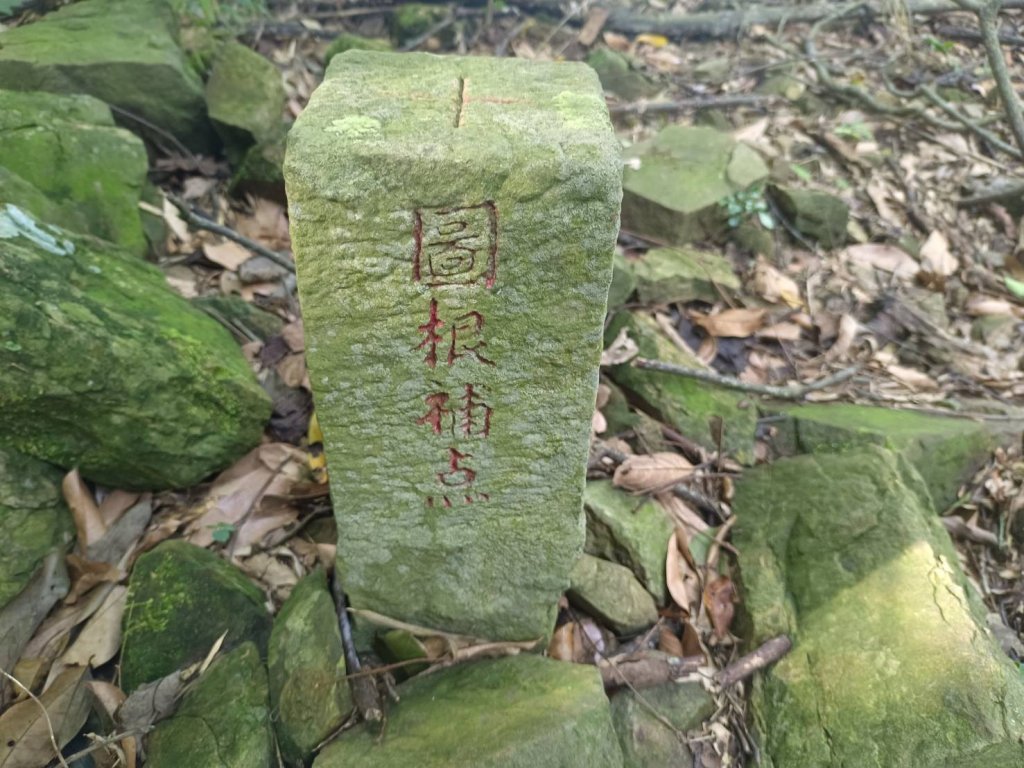 20230812台中東勢石角山、麻竹坑山、和平大南坑山主峰、大南坑山、大南坑山東峰_2246207