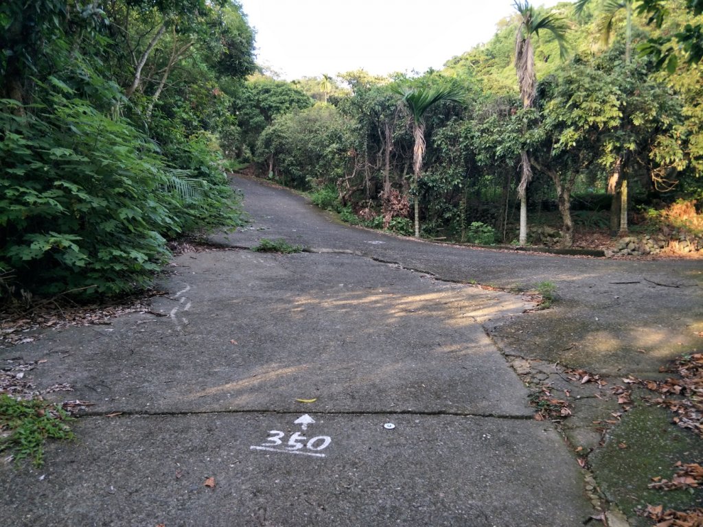 香山森林步道_1428353