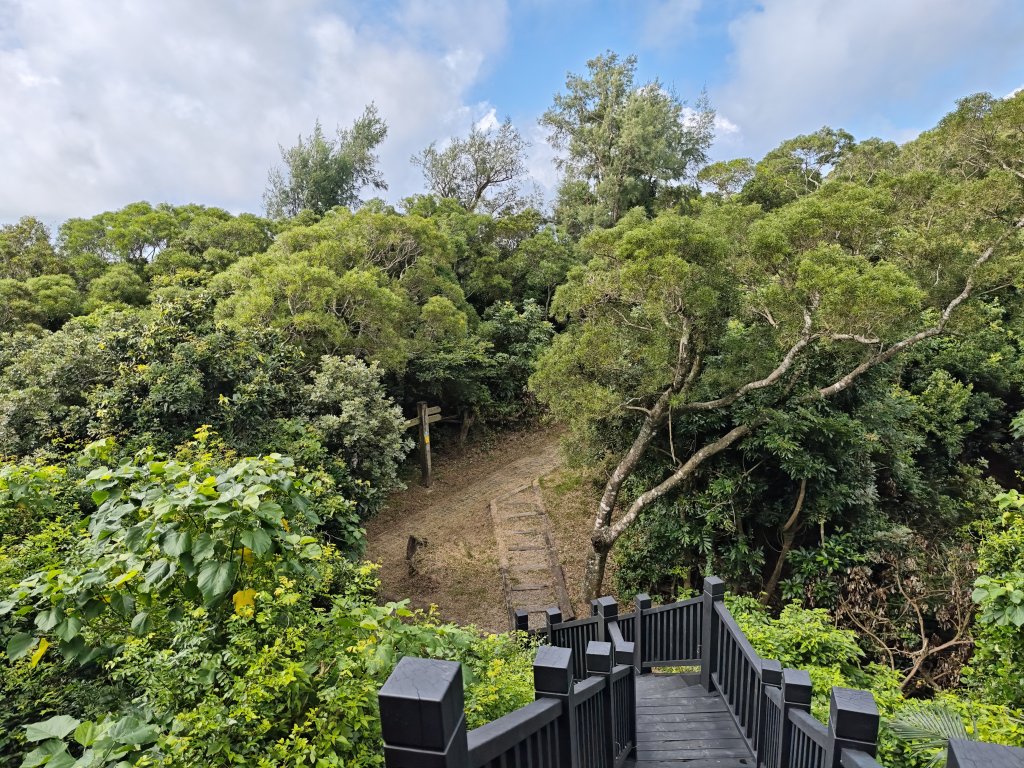 [百山百鳥尋旅-02/15] 2025_0809 社頂自然公園步道_2856957