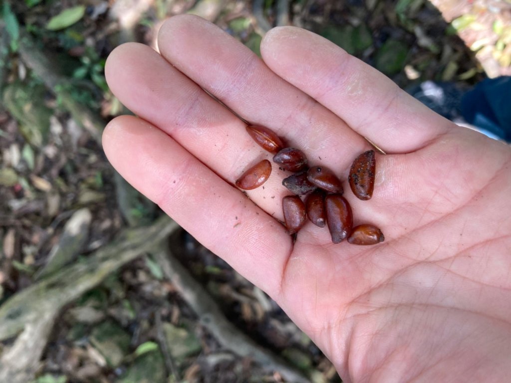 猴山岳-筆架山-二格山-南邦寮山_1281592